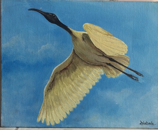 Bird Art – Arcylic on Canvas Painting