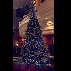 Lovely Christmas decor I saw in Dubai