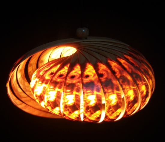Enigmatic Oval Hanging Light