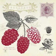Raspberry Notes Poster