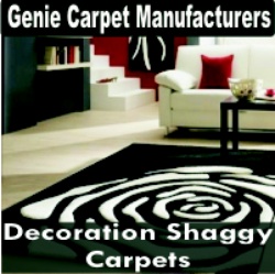 Decoration Shaggy Carpets