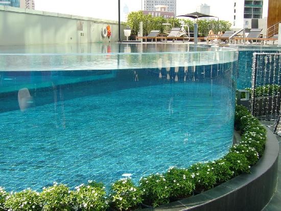 Transparent Acrylic Walls For Swimming Pools