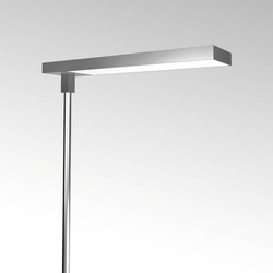 Delite - Mono Table Clamp – Single Head Light