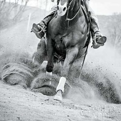 Reining In Poster