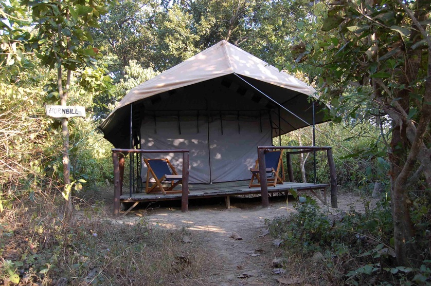 Camp on Stilts