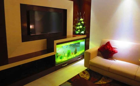  partition wall-cum TV console 