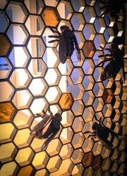 Honey Comb with Bee Sculpture – Metal Door