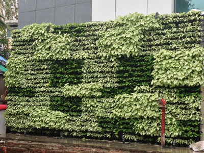 Green Living Walls