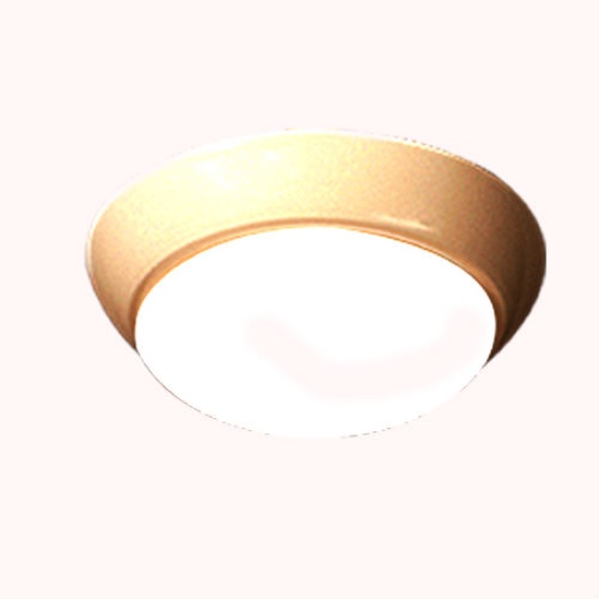 Surface Mounted Light ( Model 03PVLD )