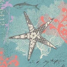 Starfish on Aqua Poster