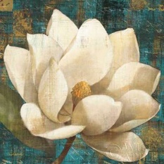 Magnolia Blossom Turquoise Poster