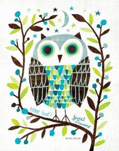 Night Owl I Poster