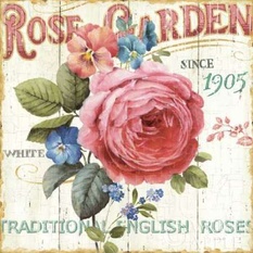 Rose Garden I Poster