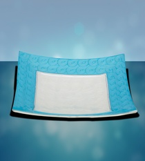 Platter-Square with Blue Border