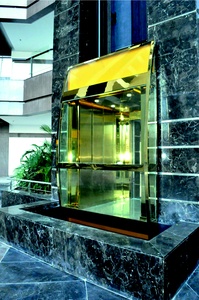Bunglow Elevator, Passenger Elevator, Glass Elevator, Observation Elevator, Escalator, Hospital Elevator
