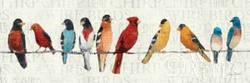 The Usual Suspects - Birds on a Wire Poster