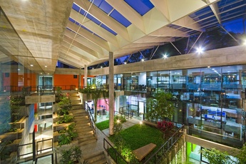 Office Plants Idea by Architecture firm: Core Architecture